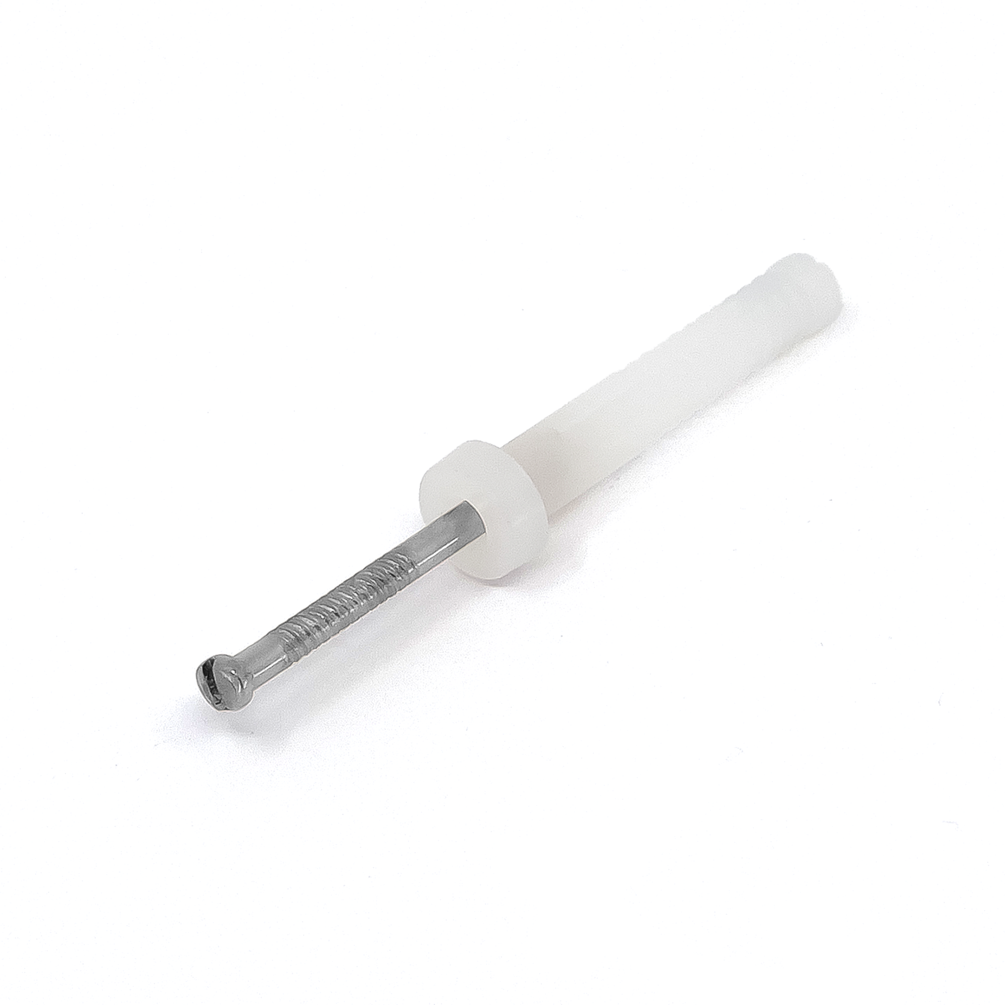 Nylon Nail in Anchor - Round Head - Stainless Steel