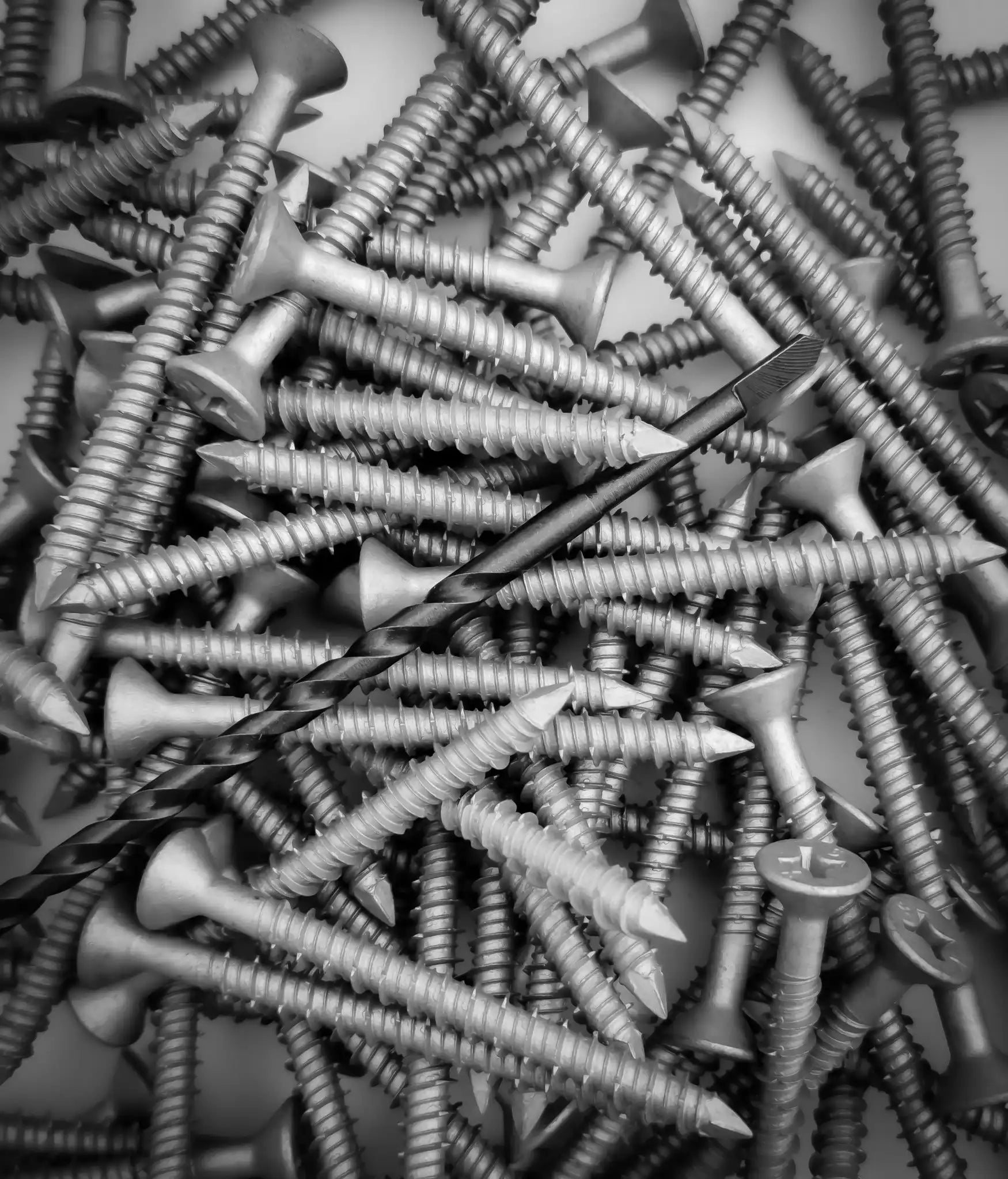 Grabcon screws arranged in a pile