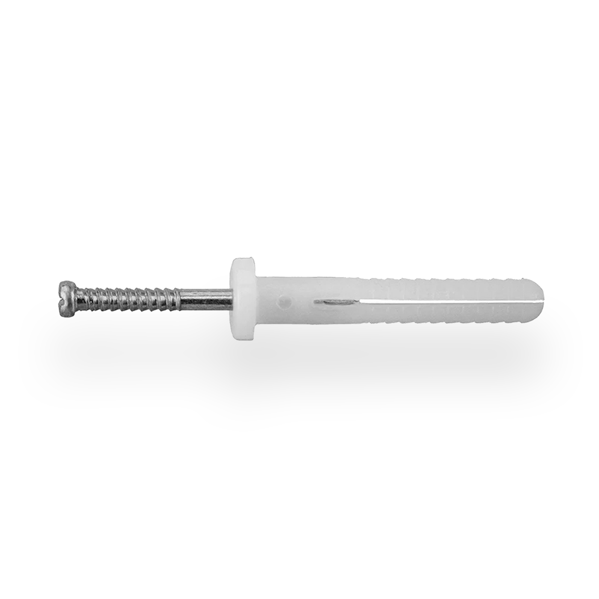 Nylon Nail in Anchor - Round Head - Stainless Steel